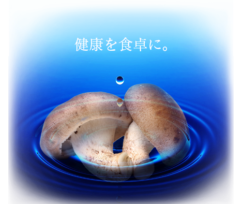 エコサンファーム